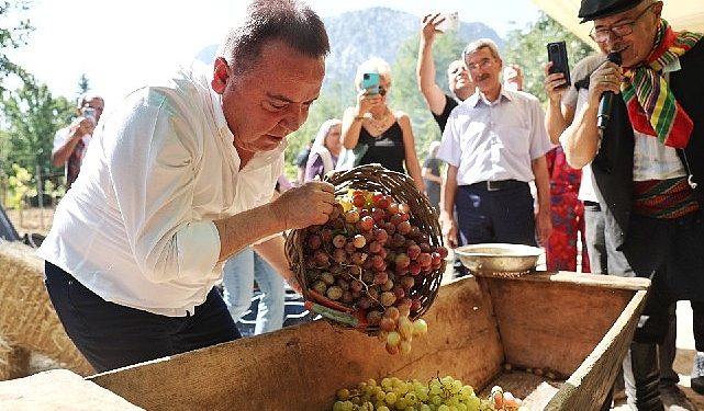 Antalya Gastronomi Şenliği’nin İkinci Gününde Mor Üzüm Hasadı
