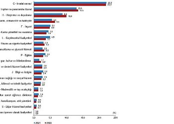 Bağımsız yıllık gayrisafi yurt içi hasıla 2022 yılında yüzde 5,5 arttı
