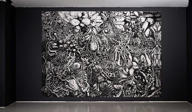 Borusan Contemporary’de Bilim ve Tarih Disiplinleri Kesişiminde, Görsel ve Düşünsel Yeni Tecrübeler