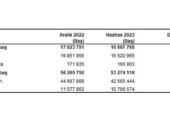 Büyükbaş hayvan sayısı 2023 yılı Haziran ayında 16 milyon 688 bin baş oldu