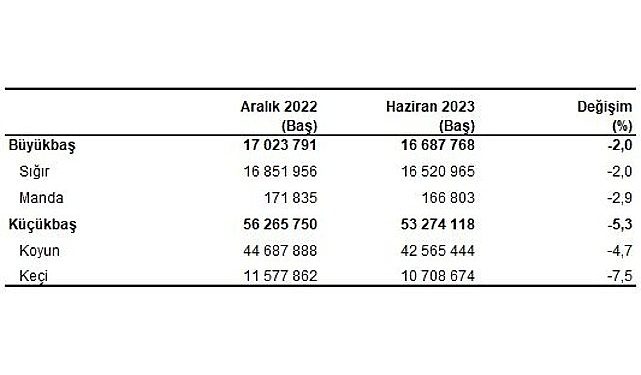 Büyükbaş hayvan sayısı 2023 yılı Haziran ayında 16 milyon 688 bin baş oldu