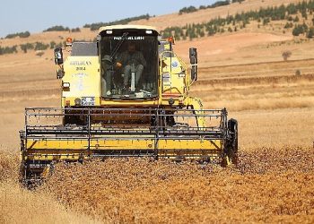 Büyükşehir Destekliyor, Konyalı Çiftçinin Yüzü Gülüyor