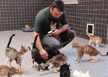 Can dostlar yeni yuvalarında memnun