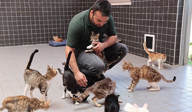 Can dostlar yeni yuvalarında memnun