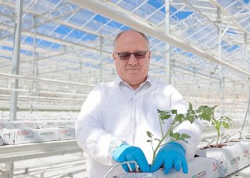 Çöpten Güç ve Isı Üretilerek 2 Bin Ton Domates Yetiştirilecek