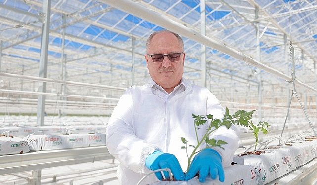 Çöpten Güç ve Isı Üretilerek 2 Bin Ton Domates Yetiştirilecek