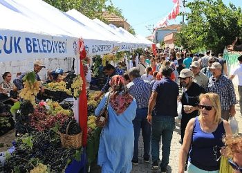 “Efes Selçuk Gökçealan’da Üzüm Şenliği Var”