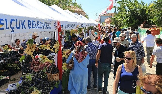 “Efes Selçuk Gökçealan’da Üzüm Şenliği Var”