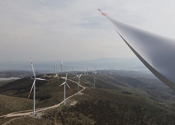 Eksim Güç CEO’su Arkın Akbay: “Hedefimiz; 4 Milyon Ton Karbon Salınımını Engellemek”