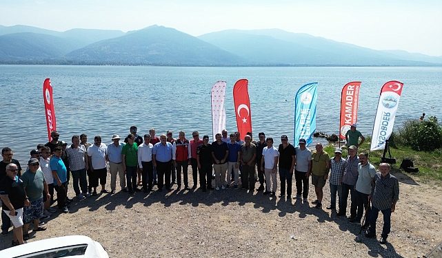 Eşme’de Sapanca gölüne 100 bin sazan salındı
