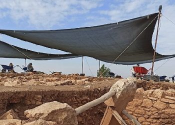 Harran Üniversitesi, Dünya Tarihine İstikamet Verecek Çalışmalarda Faal Rol Alıyor