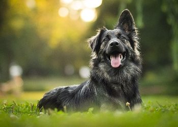 Hepsiburada’dan can dostlarımıza takviye