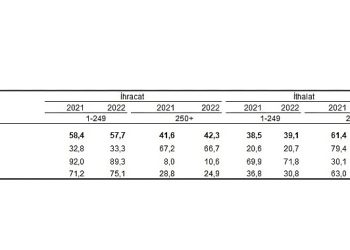 İhracatın yüzde 42,3’ünü, ithalatın ise yüzde 60,9’unu büyük ölçekli teşebbüsler gerçekleştirdi