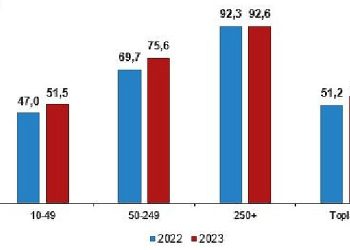 İnternet erişimine sahip teşebbüslerin oranı yüzde 96,0 oldu