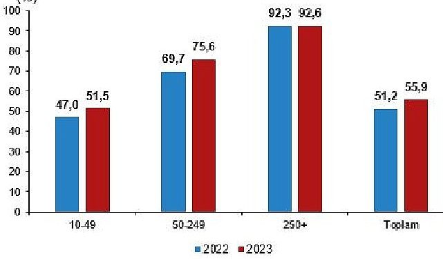 İnternet erişimine sahip teşebbüslerin oranı yüzde 96,0 oldu