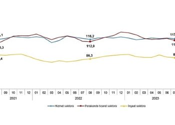 İtimat endeksi hizmet, perakende ticaret ve inşaat bölümlerinde düştü