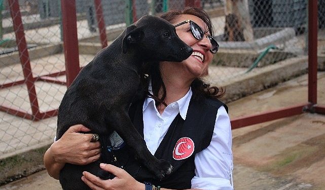 Karşıyaka Belediyesi, can dostlara huzurlu bir hayat sunuyor