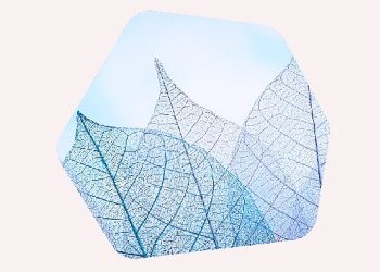 Kaspersky, Orta Doğu Bölgesindeki Birinci Şeffaflık Merkezinin Açılışını Gerçekleştiriyor