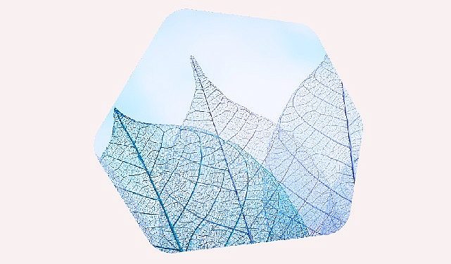 Kaspersky, Orta Doğu Bölgesindeki Birinci Şeffaflık Merkezinin Açılışını Gerçekleştiriyor