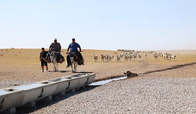 Konya Büyükşehir Hazırladığı Sıvatlarla Hayvanlara Can Suyu Olmaya Devam Ediyor
