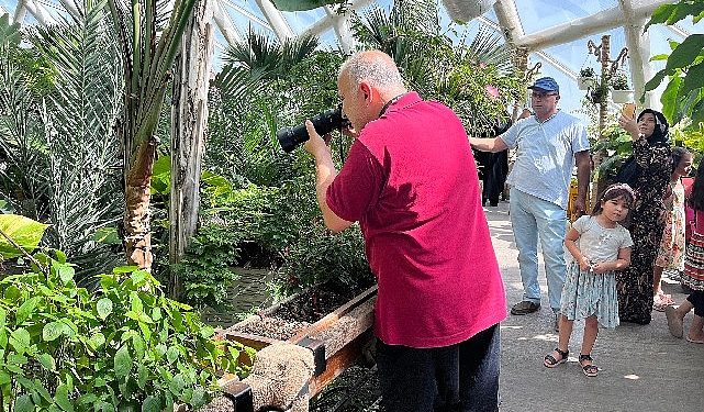 Konya Tropikal Kelebek Bahçesi yaz aylarının favori ziyaret yeri oldu