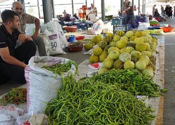 Köylü pazarında aracısız alışveriş