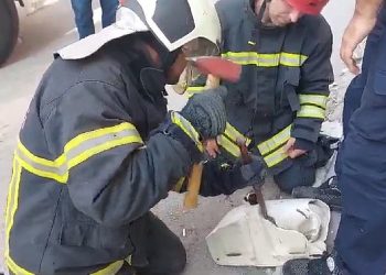 Lavaboya Sıkışan Yavru Kedi Kurtarıldı