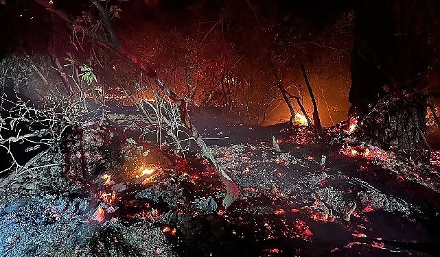 Lider Kılıç ve BUCAKUT Yangın Bölgesinde