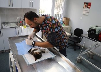 Menderes’te Can Dostlar Unutulmuyor