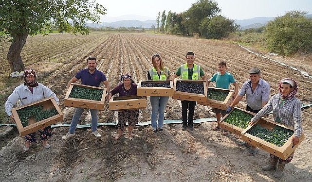 Milas Belediyesi üretiyor, üretimi destekliyor