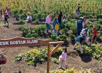 Minik eller hasatla buluştu