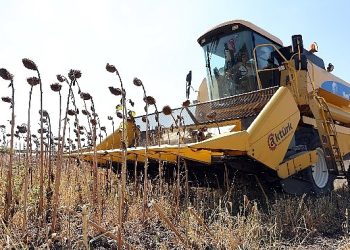 Mudanya Belediyesi Dayanışmayı Tarımla Büyütüyor