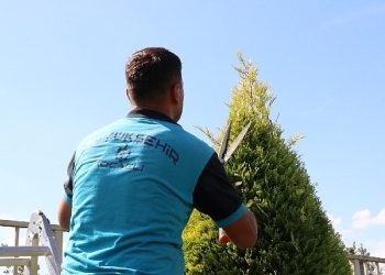 Park ve bahçelerde sonbahar budaması