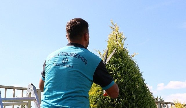 Park ve bahçelerde sonbahar budaması