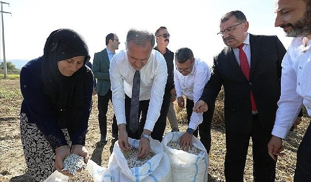 Tarladan Sofraya; Cerrah Kuru Fasulyesi