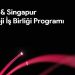 Teknoloji odaklı şirketler, “Türkiye – Singapur Teknoloji İş Birliği Programı” ile küreselleşme fırsatı yakalayacak