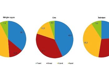 Teşebbüs sayısı ve istihdamda en yüksek hissesi hizmet bölümü oluşturdu