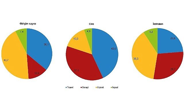 Teşebbüs sayısı ve istihdamda en yüksek hissesi hizmet bölümü oluşturdu