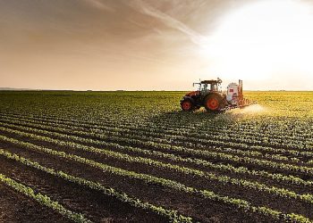 TKYB, Tarım Kredi Tedarik ve Üretim’in sukuk ihracını gerçekleştirdi