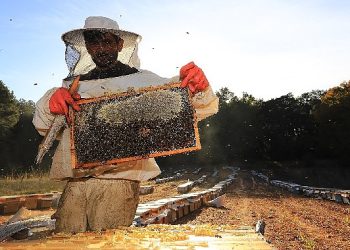 Türkiye’de birinci ve Tek “Temiz Petek Projesi” Başladı