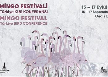 Türkiye’nin birinci Flamingo Şenliği İzmir’de Gerçekleşiyor.
