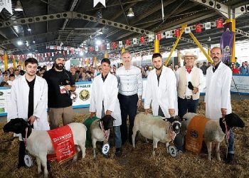 Türkiye’nin En Kapsamlı Küçükbaş Hayvancılık Şenliği İçin Geri Sayım Başladı