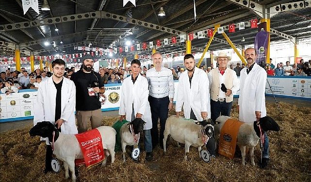 Türkiye’nin En Kapsamlı Küçükbaş Hayvancılık Şenliği İçin Geri Sayım Başladı