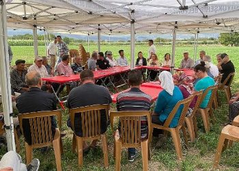 Üreticiye Kaba Yem Dayanağı