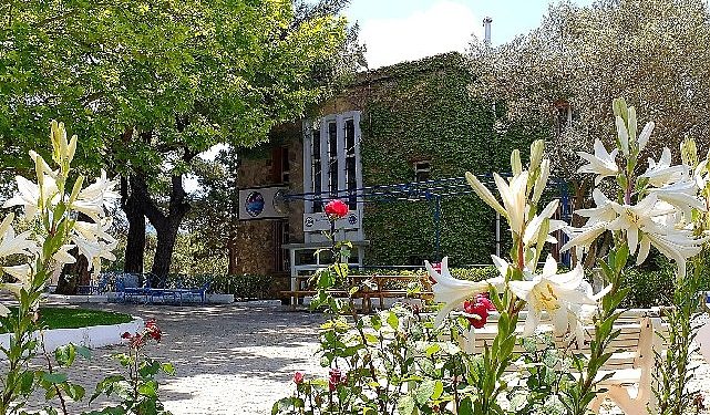 Uzay ve Gökyüzü Tutkunlarının Buluşma Adresi: EÜ Gözlemevi