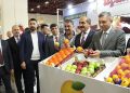 Yaş Meyve Zerzevat Dalı 302,2 Milyar Dolarlık OVP İhracat Gayesine 4 Milyar Dolar Katkı Hedefliyor