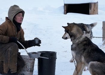 Alaska’yı BBC Earth ile Keşfedin