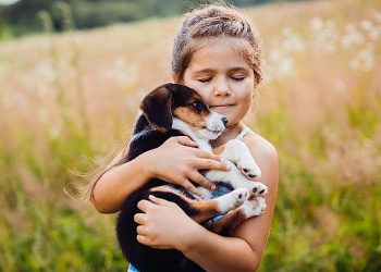 Alerji yolu için 20 teklif !
