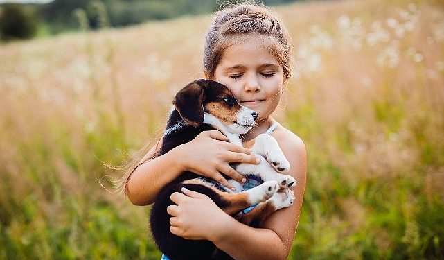 Alerji yolu için 20 teklif !