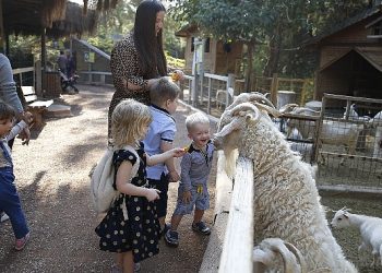 Antalya Doğal Ömür Parkı 4 Ekim’de Fiyatsız